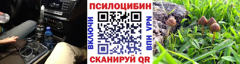 blacksprut ONION  Томмот  Галлюциногенные грибы Psilocybe 